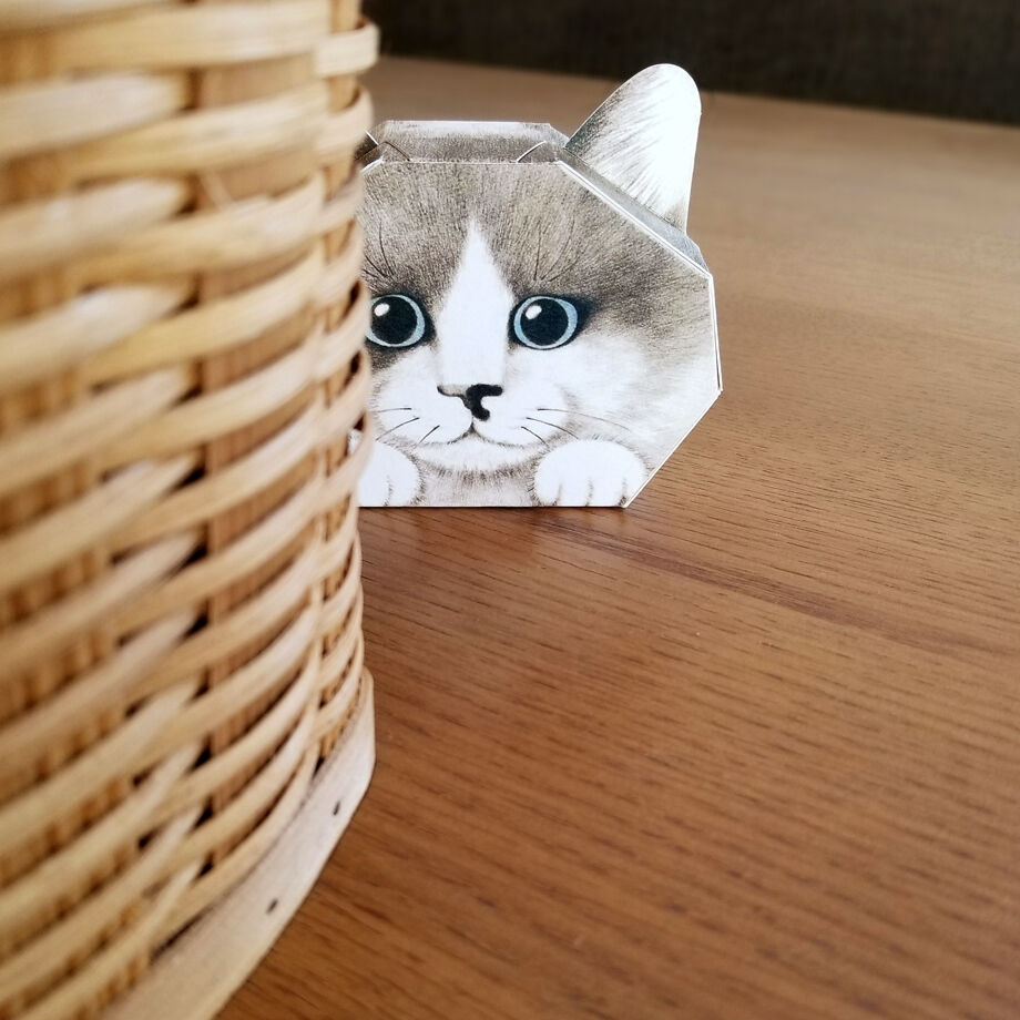 印刷済み「見つめる猫ハチワレ版」ギフトボックス展開図