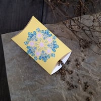 「パクチー／香菜／コリアンダー」種のパッケージ展開図