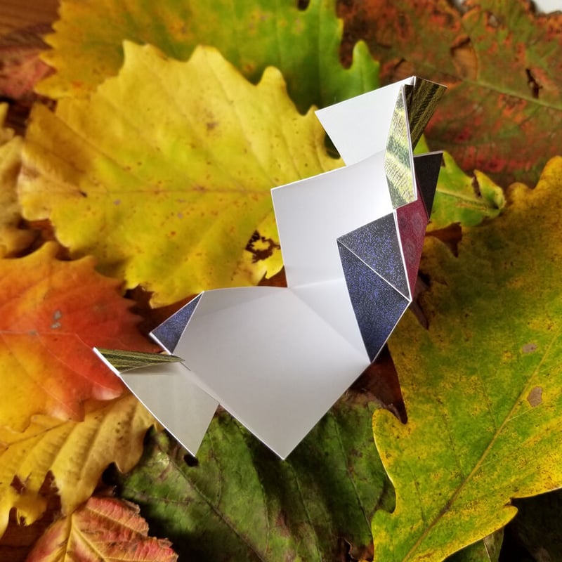 葡萄（ぶどう）」ギフトボックス展開図 | Kyoco's 展開図