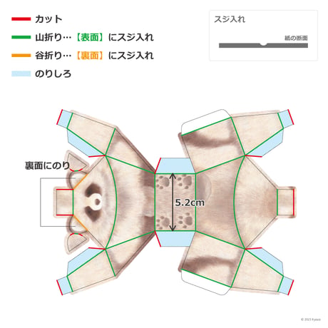 印刷済み「エゾタヌキ／狸（たぬき）」小物ケース展開図