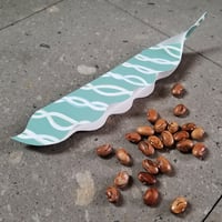 「モロッコいんげん」種のパッケージ展開図