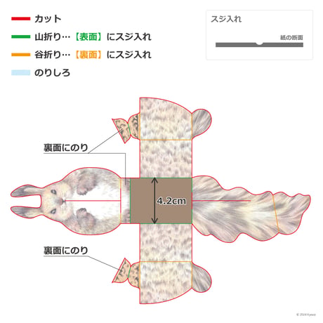 「エゾリス」ギフトボックス展開図