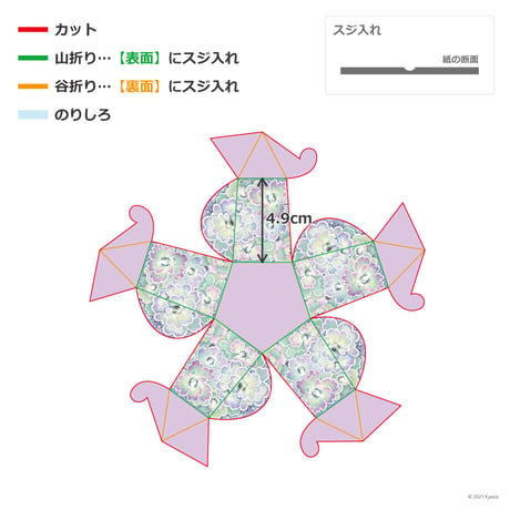 「オダマキ」種のパッケージ展開図
