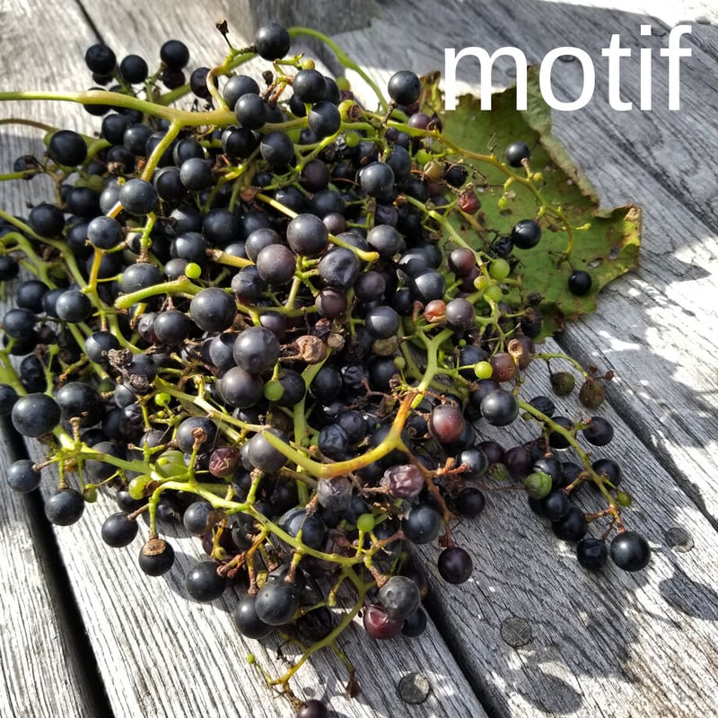 きりょくのぶどう様確認用ページ ギフト箱 ぶどうクラフト 2kg L-2528 10枚/束（ご注文単位5束