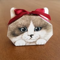 印刷済み「見つめる猫ハチワレ版」ギフトボックス展開図