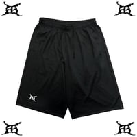 昼想夜夢 × 電波少女「アイアンメイデン」 シングルCD | 幽幻怪