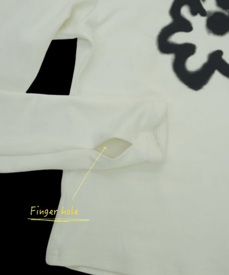 DAISY PAINT T