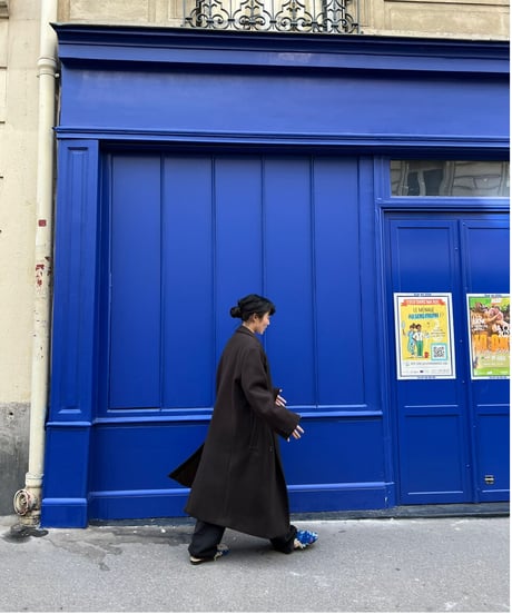 CLASSICAL BROWN COAT