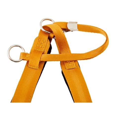 MANDARINE BROTHERS CLASSIC HARNESS