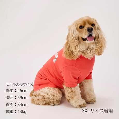 MANDARINE BROTHERS PUFFY LOGO COOL TEE