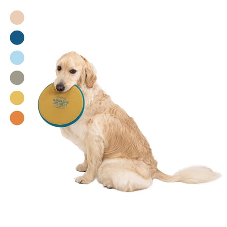 MANDARINE BROTHERS MB FLYING DISC TOY