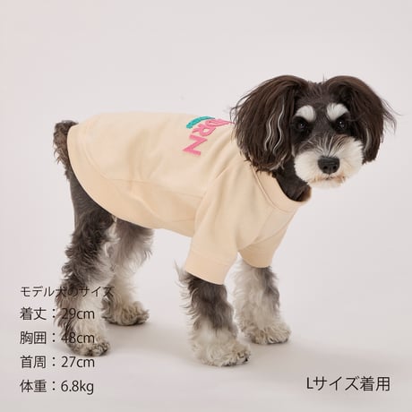 MANDARINE BROTHERS BRUSH LOGO SWEAT