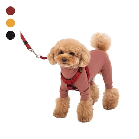 MANDARINE BROTHERS CLASSIC HARNESS