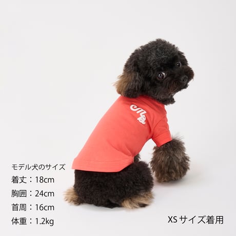 MANDARINE BROTHERS PUFFY LOGO COOL TEE