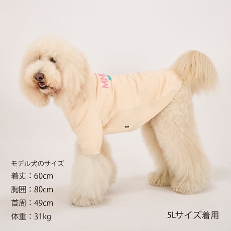 MANDARINE BROTHERS BRUSH LOGO SWEAT