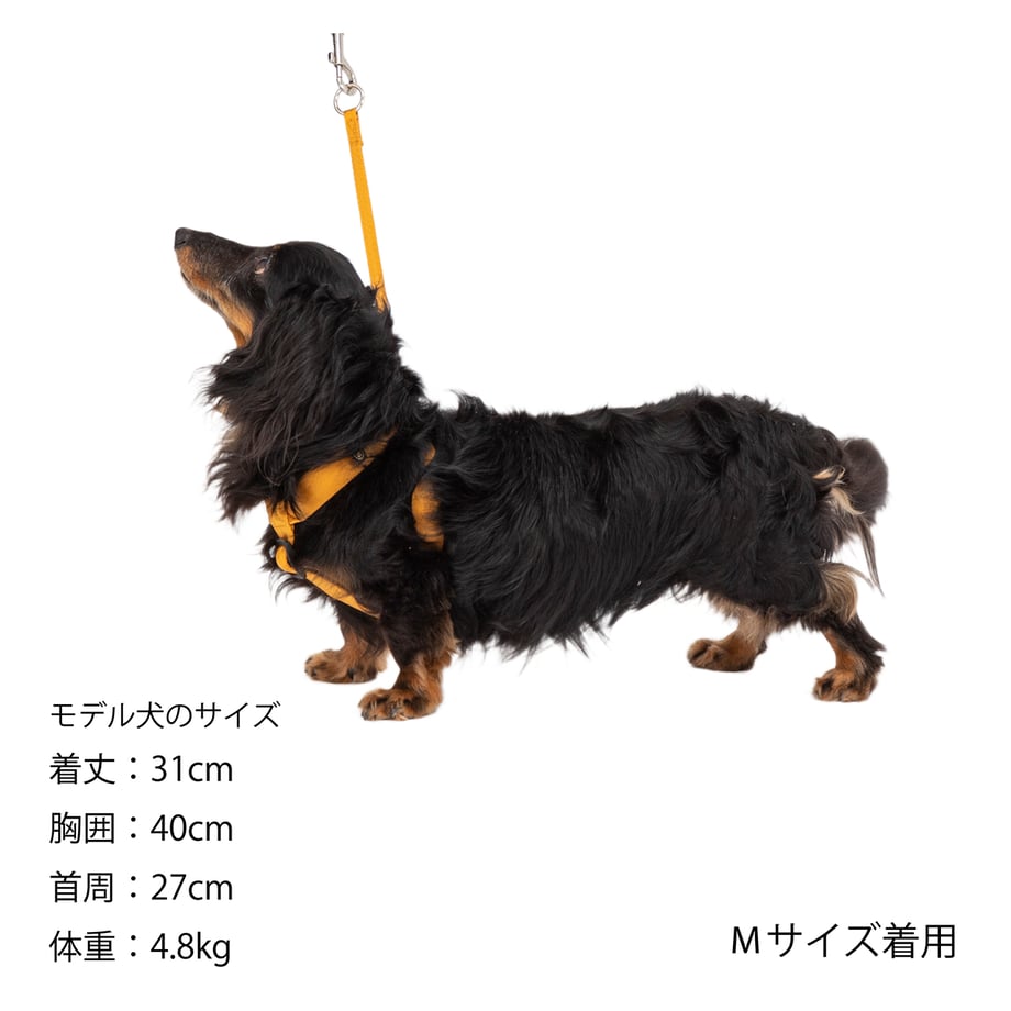 65f80535ea1c920a9025394d