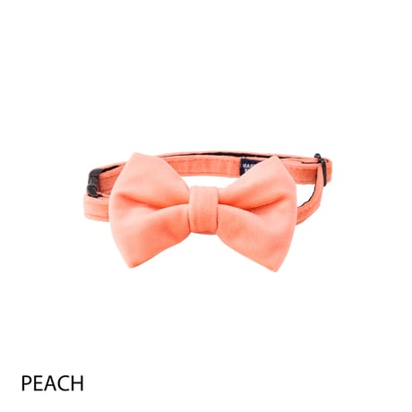 MANDARINE BROTHERS BOW TIE