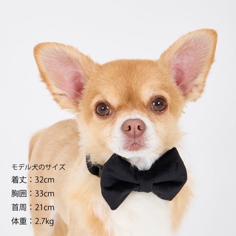 MANDARINE BROTHERS BOW TIE