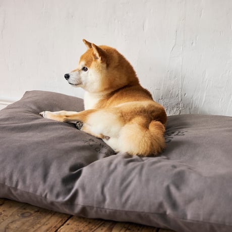 MANDARINE BROTHERS COZY BED