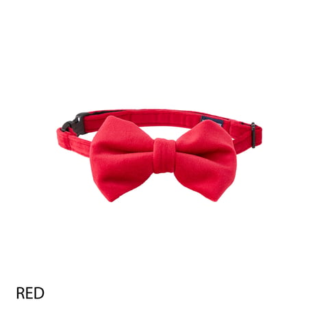 MANDARINE BROTHERS BOW TIE