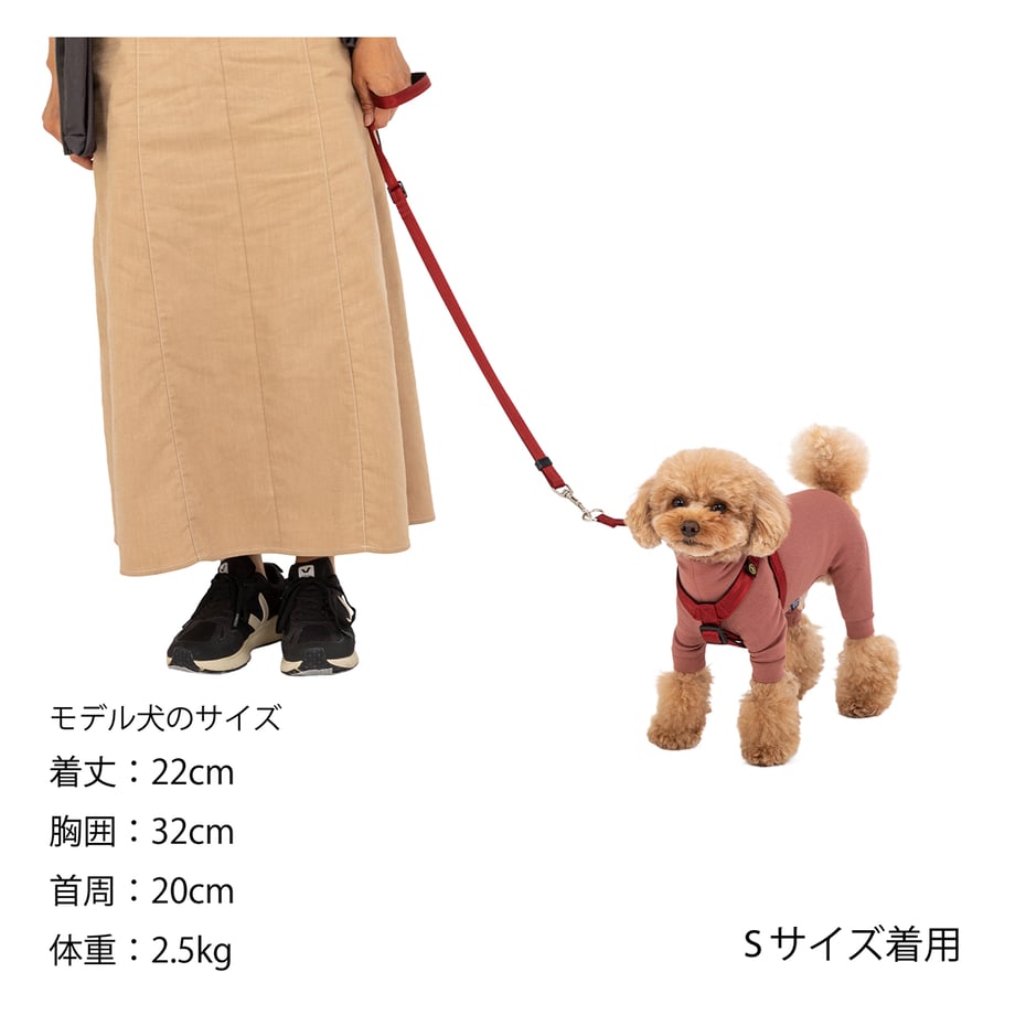 65f80535ea1c920a9025394d