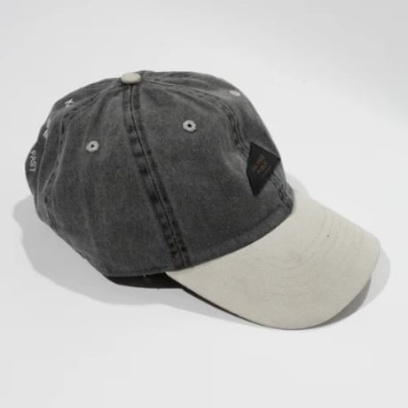 SALVAGE PUBLIC Baseball Two Tone Cap (DH Leather Patch/Back EMB)