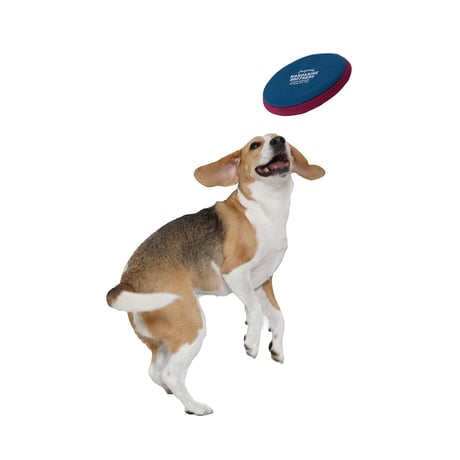 MANDARINE BROTHERS MB FLYING DISC TOY