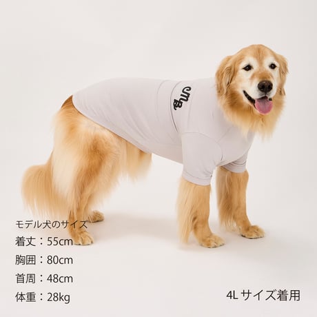 MANDARINE BROTHERS PUFFY LOGO COOL TEE
