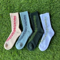 SALVAGE PUBLIC SVPC Socks (LEI) New Color!!