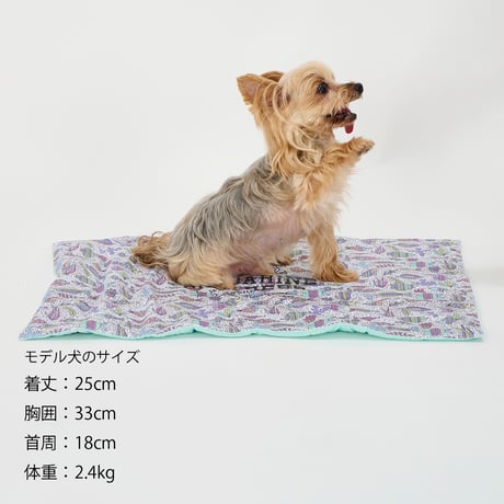 MANDARINE BROTHERS COOL CAFE MAT