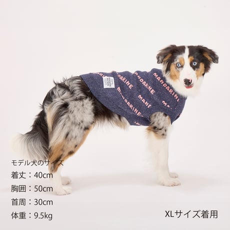 MANDARINE BROTHERS MNDRN LOGO KNIT