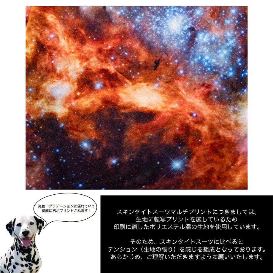 66d6e5fe5b84b404ece03b7c