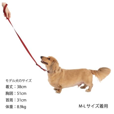 MANDARINE BROTHERS CLASSIC LEASH