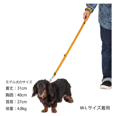 MANDARINE BROTHERS CLASSIC LEASH