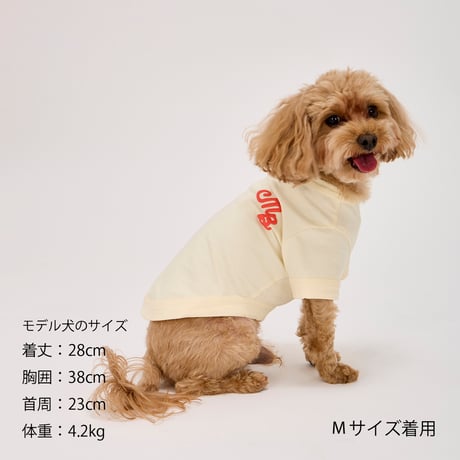 MANDARINE BROTHERS PUFFY LOGO COOL TEE