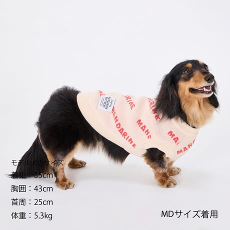 MANDARINE BROTHERS MNDRN LOGO KNIT