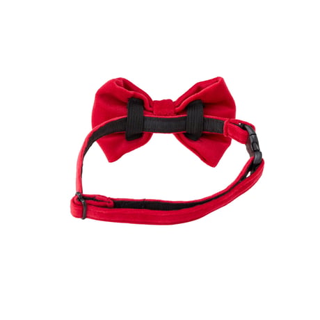 MANDARINE BROTHERS BOW TIE