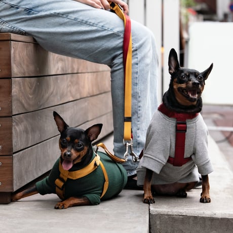 MANDARINE BROTHERS CLASSIC LEASH