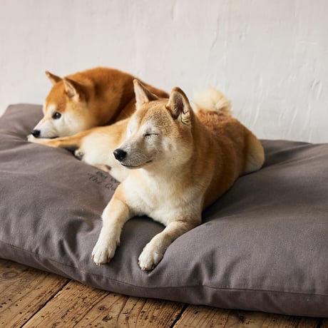 MANDARINE BROTHERS COZY BED