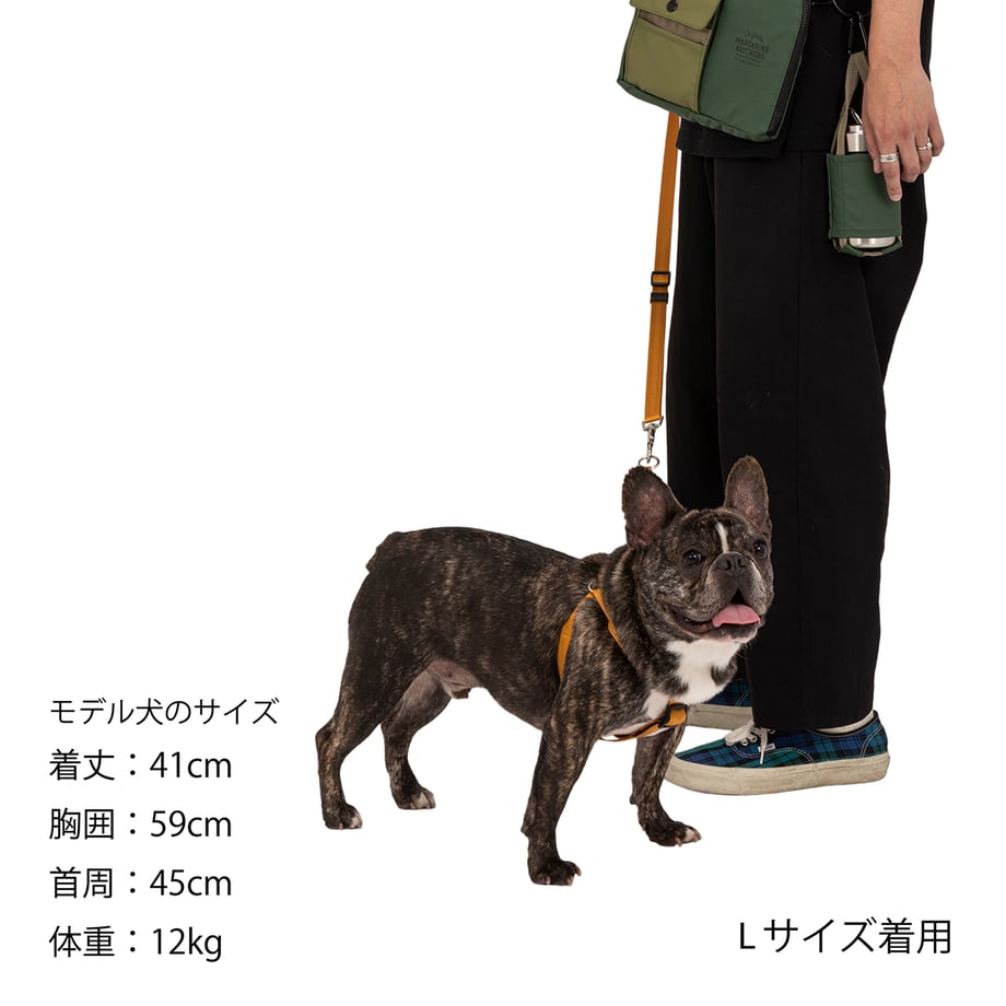 65f80535ea1c920a9025394d