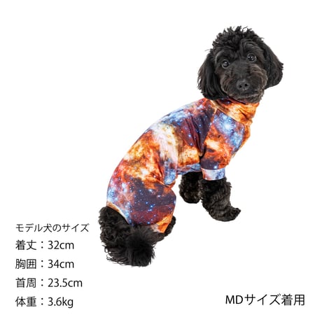 MANDARINE BROTHERS SKIN TIGHT SUIT MULTI PRINT
