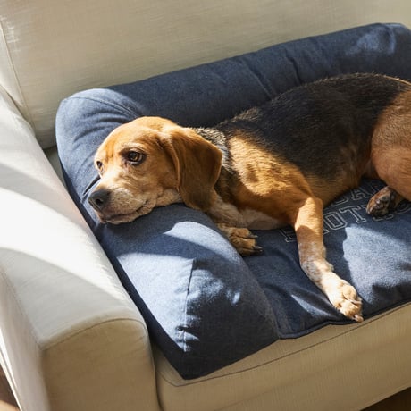 MANDARINE BROTHERS HEAD REST BED