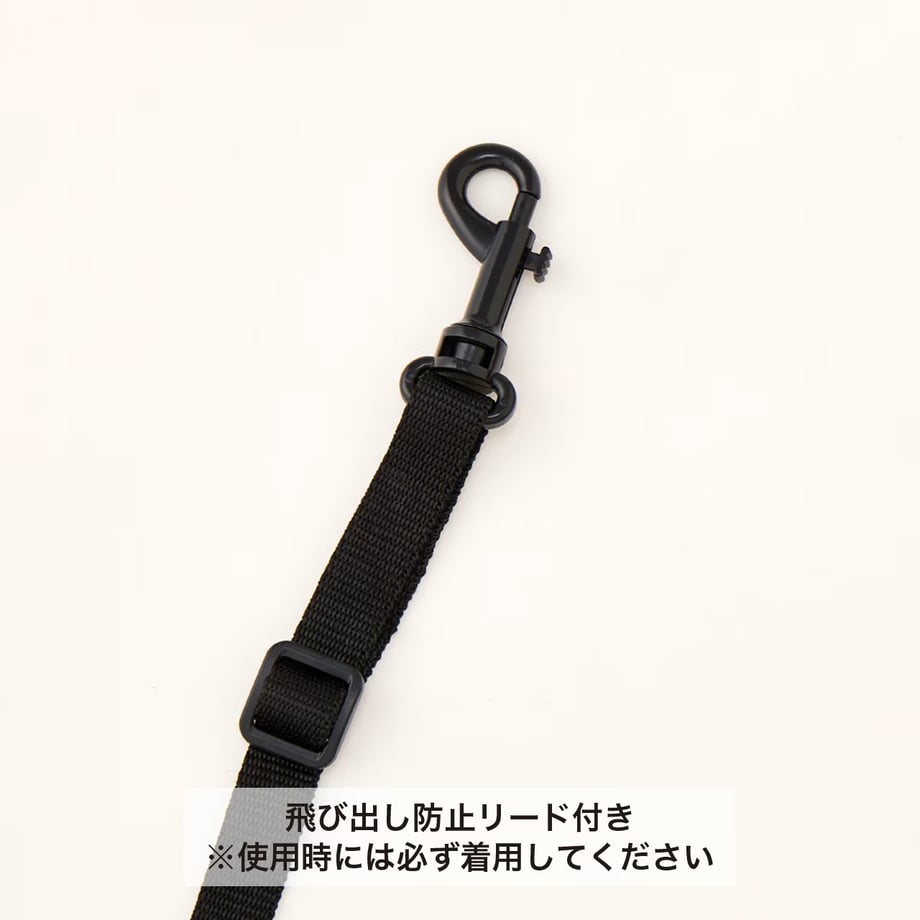 69c1158d9ad1d53584f9ecca