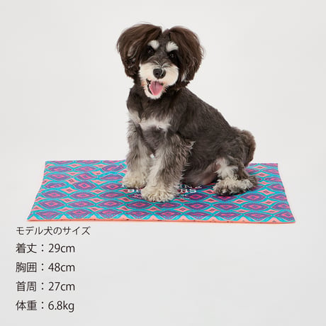 MANDARINE BROTHERS COOL CAFE MAT