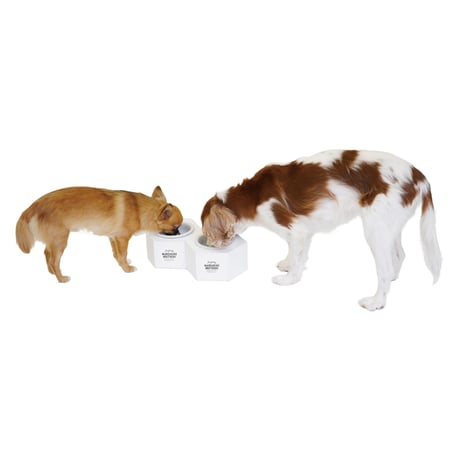 MANDARINE BROTHERS MB FOOD BOWL