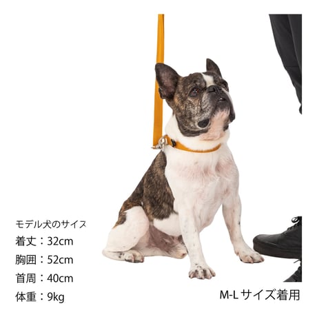 MANDARINE BROTHERS CLASSIC LEASH