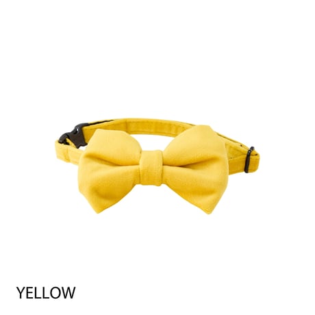 MANDARINE BROTHERS BOW TIE