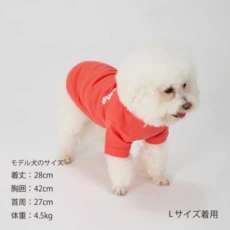 MANDARINE BROTHERS PUFFY LOGO COOL TEE