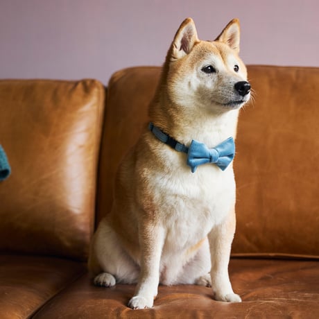 MANDARINE BROTHERS BOW TIE