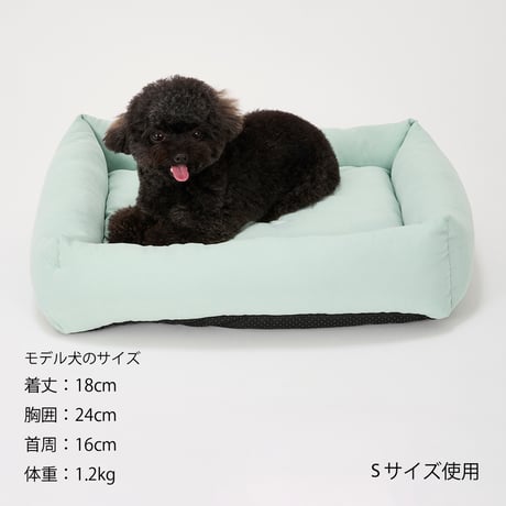 MANDARINE BROTHERS FLAT BED　2025年春夏新作